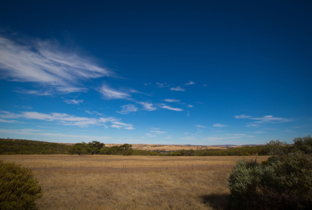 Avon Valley Western Australian Bushland