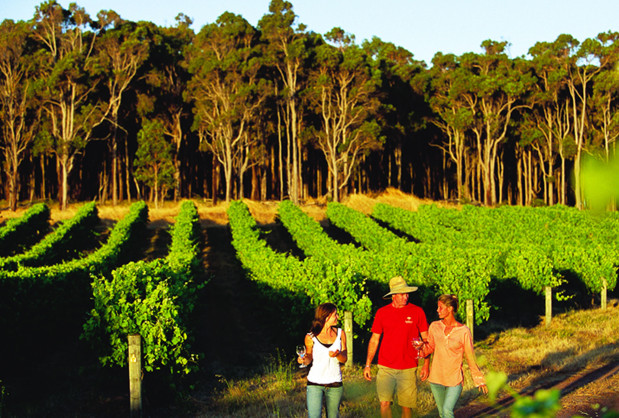 Swan Valley Vineyards Wine Tasting Western Australia