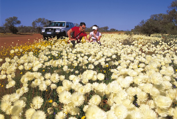 Western Australia Road Trip